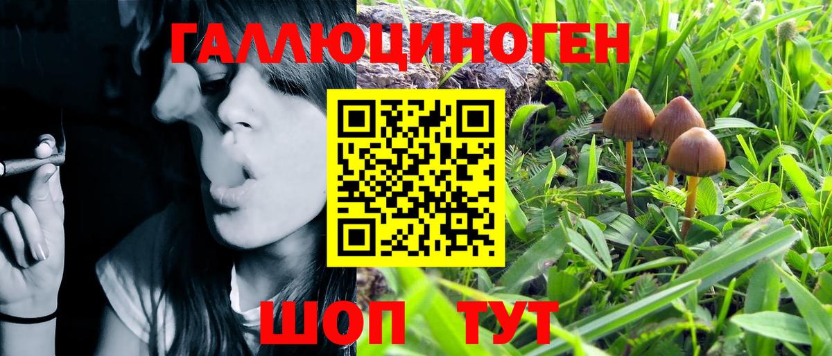продажа наркотиков  Галлюциногенные грибы MAGIC MUSHROOMS  Галлюциногенные грибы MAGIC MUSHROOMS  Вход с VPN  Воткинск 