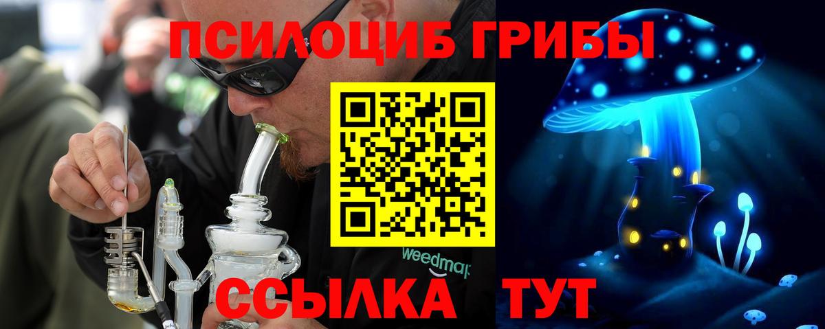 Галлюциногенные грибы Psilocybe Воткинск